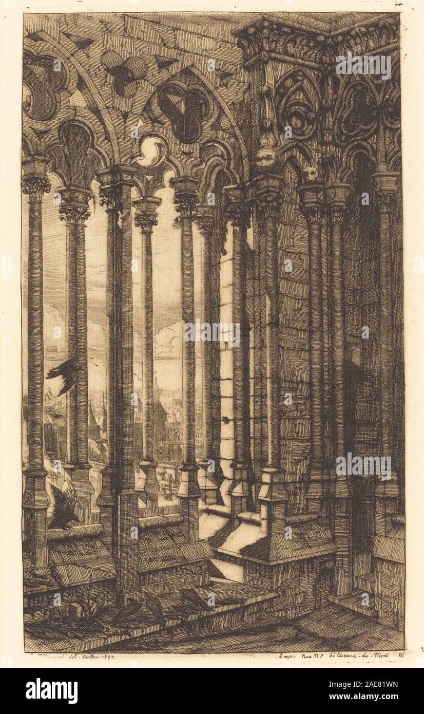 Raffigura l'interno della Galerie Notre-Dame di Parigi, con dettagli architettonici, soffitti a volta, archi, colonne, finestre, prospettiva interna e dintorni urbani, disegnati da Charles Meryon nel 1853. Foto Stock