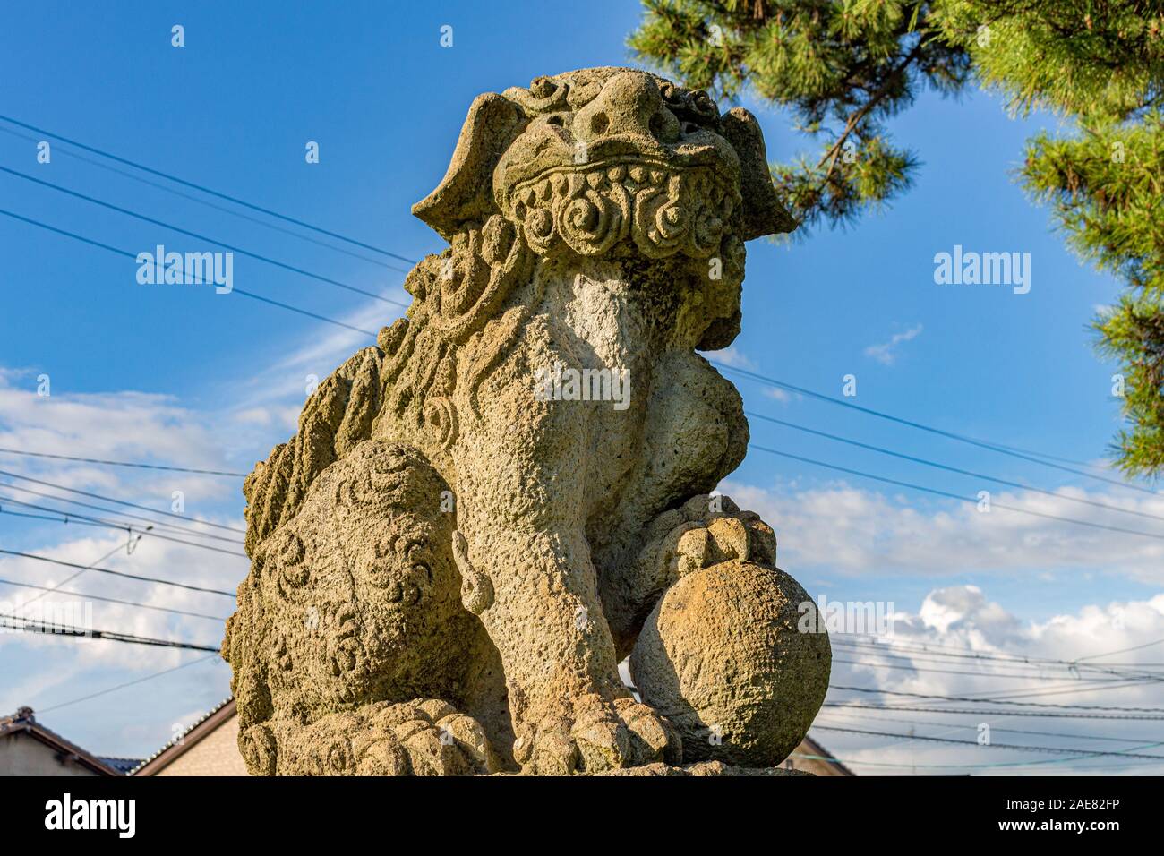 Lion-dog, o komainu, a Mikawa,Giappone. Queste statue tradizionali sono visti in coppie nella maggior parte dei santuari e sono destinate ad allontanare gli spiriti maligni. Foto Stock