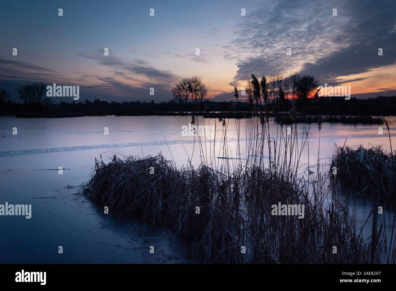 Canne su un lago ghiacciato, bella serata nubi dopo il tramonto Foto Stock
