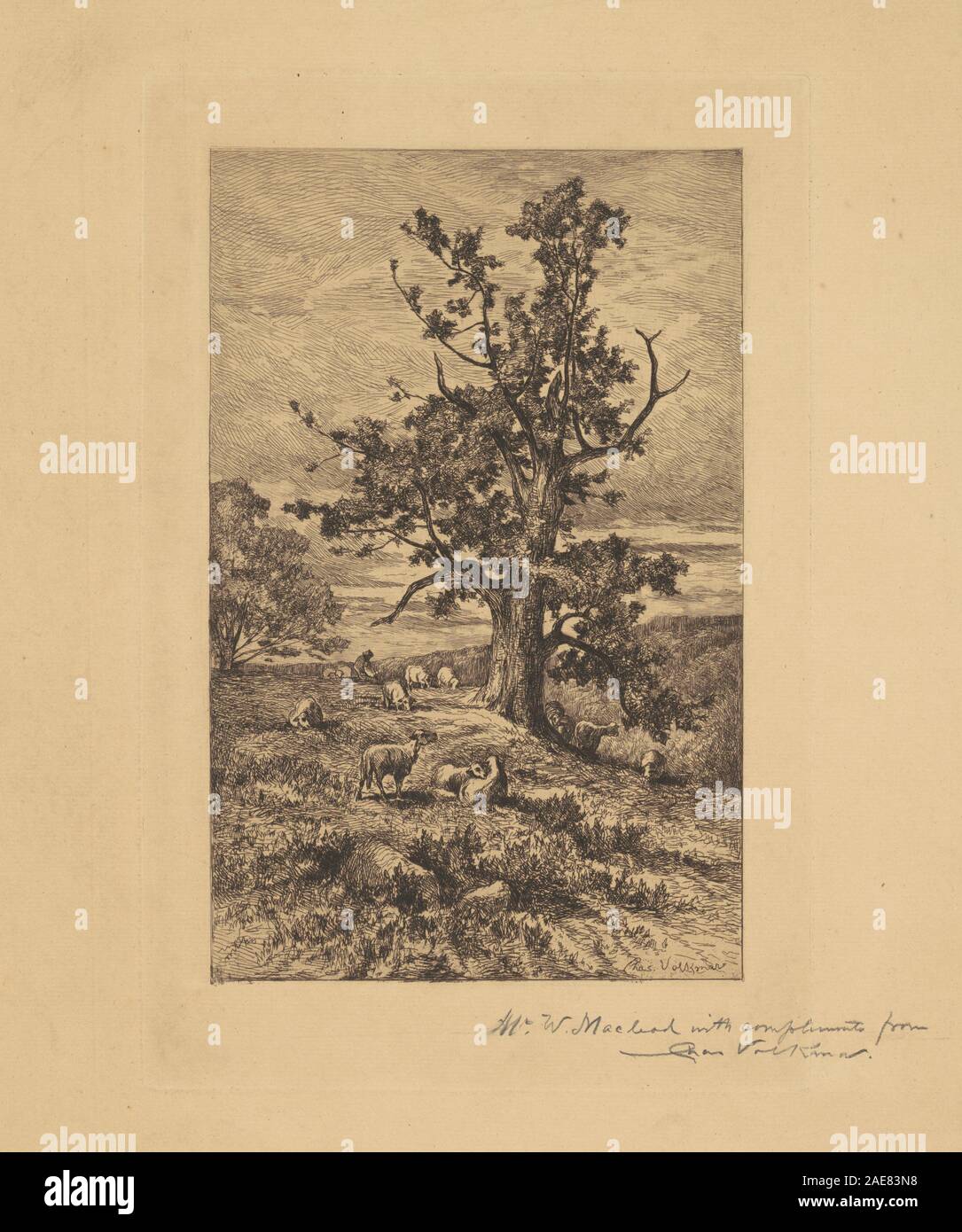 Un paesaggio dipinto da Charles Volkmar intorno al 1876 con una scena pastorale con pecore pascolate in un campo. Il dipinto riflette l'arte paesaggistica europea del XIX secolo con raffigurazioni naturalistiche e fascino rurale. Foto Stock