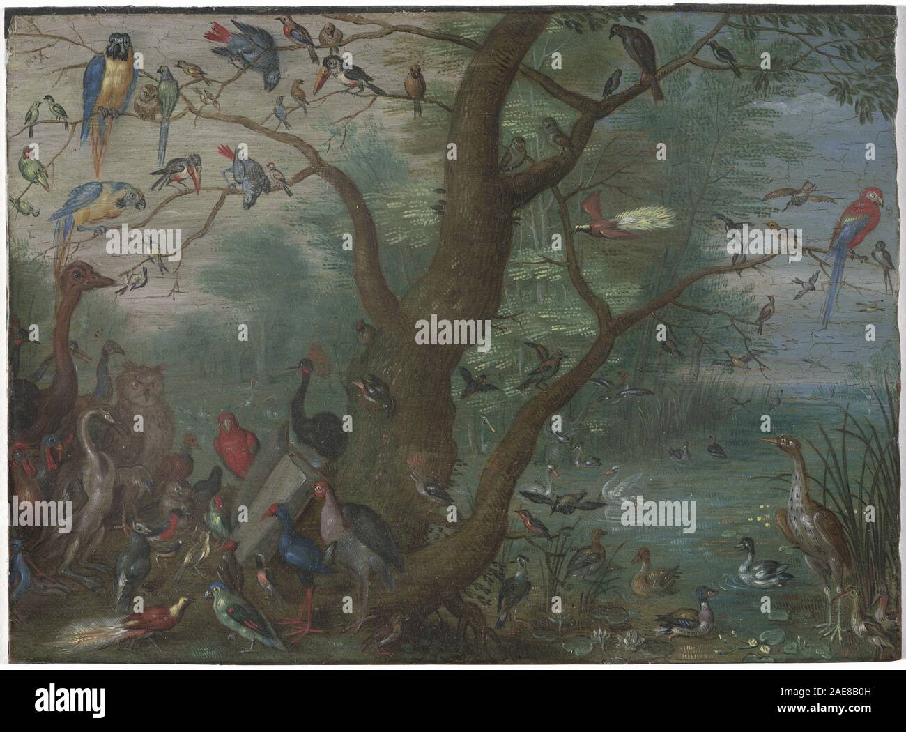 Questo dipinto del Circolo di Jan van Kessel, creato tra il 1660 e il 1670, raffigura un concerto di uccelli. Enfatizza lo studio ornitologico, la rappresentazione naturalistica, la composizione della natura morta e le tecniche pittoriche fiamminghe del XVII secolo. Foto Stock