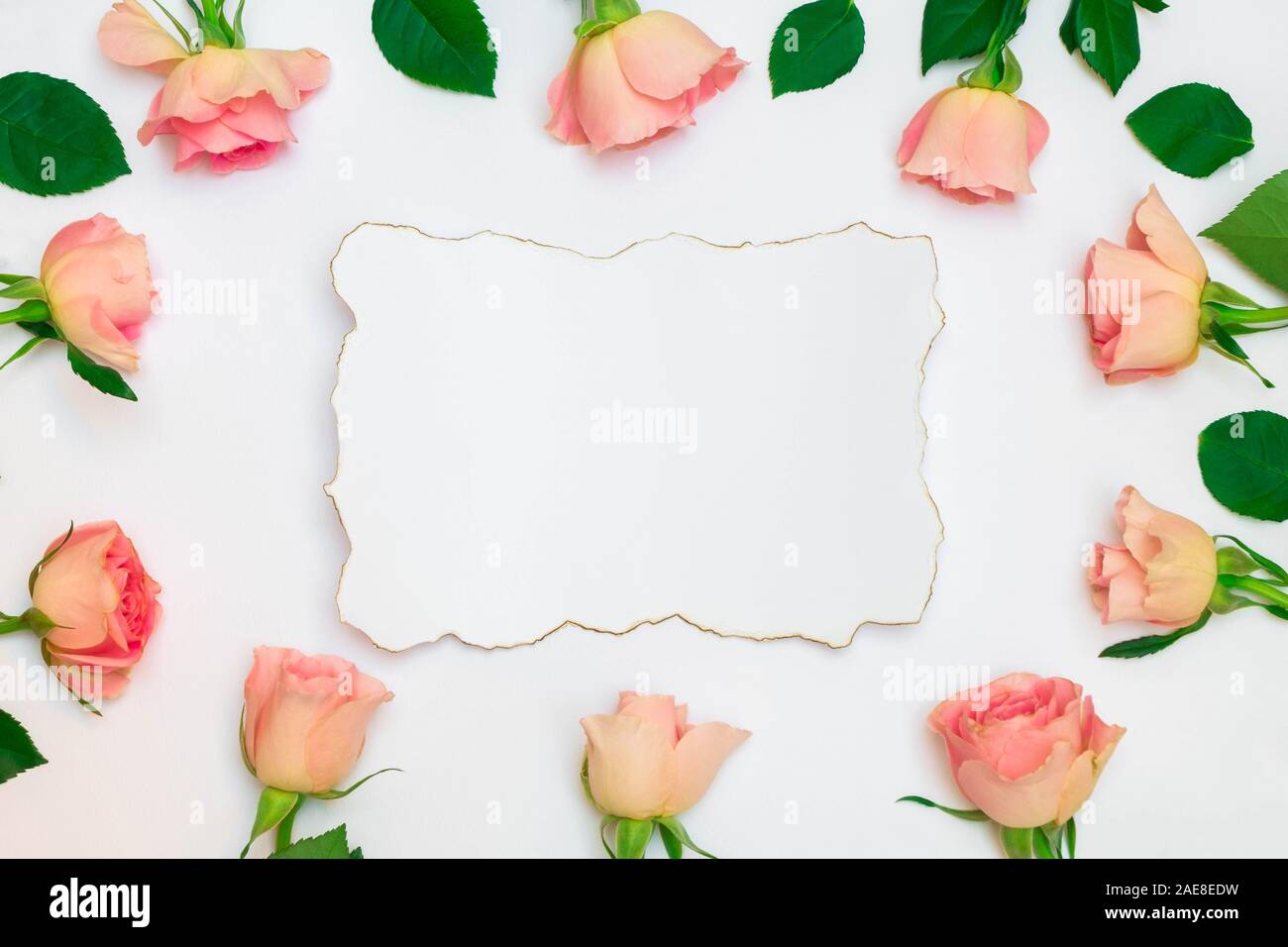 Cornice floreale Composizione con rose di color pastello e bianco della carta carta vintage Foto Stock