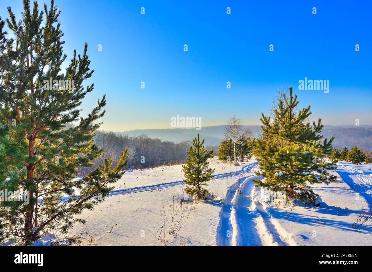 Passeggiata invernale a tempo soleggiato. Montagne coperte da foreste, pista di sci sulla neve tra il verde dei giovani abeti. Riposo invernale , viaggi e lifest attivo Foto Stock