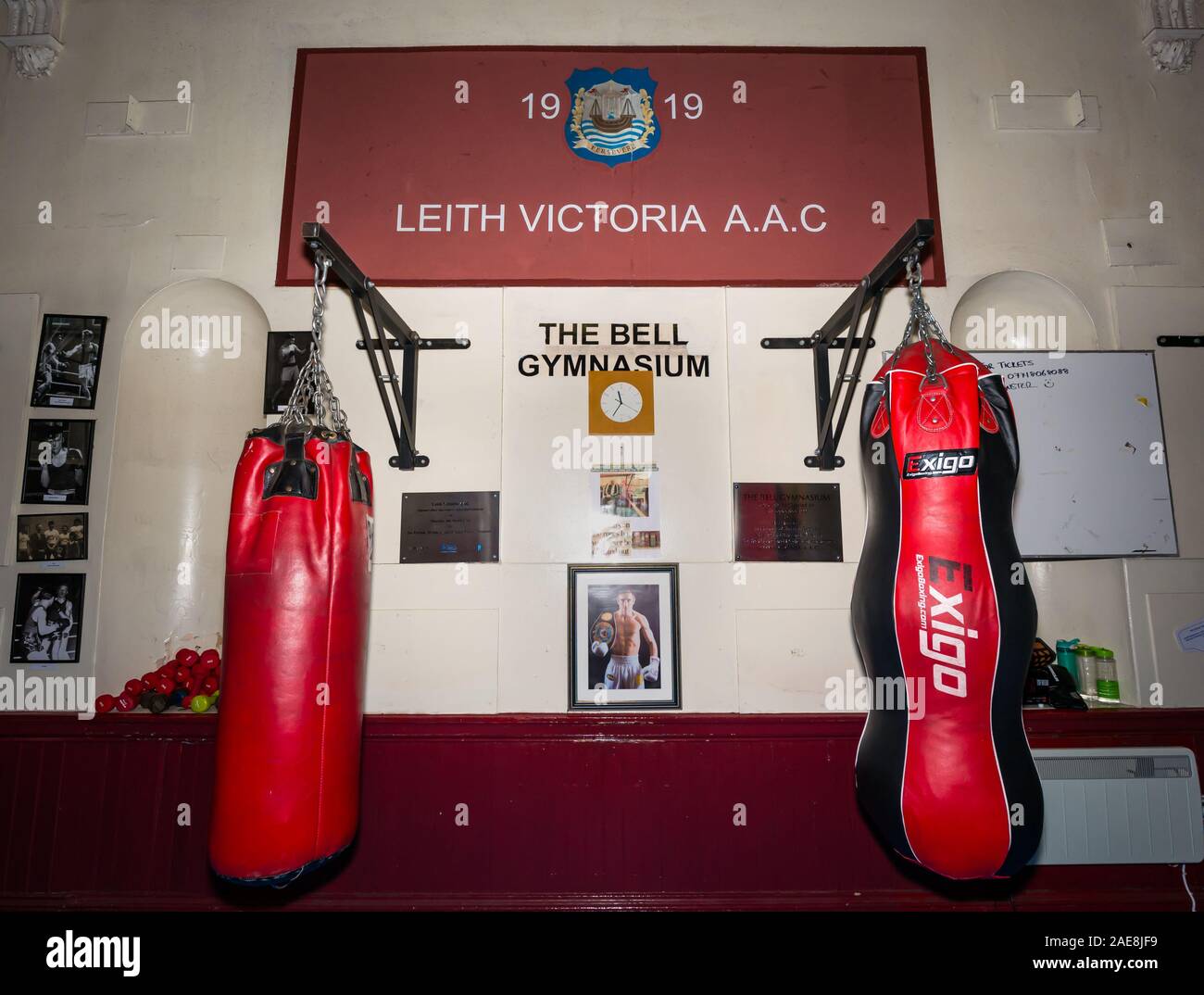 Sacchetti di punzone a Leith Victoria Amateur Boxing Club, Edimburgo, Scozia, Regno Unito Foto Stock