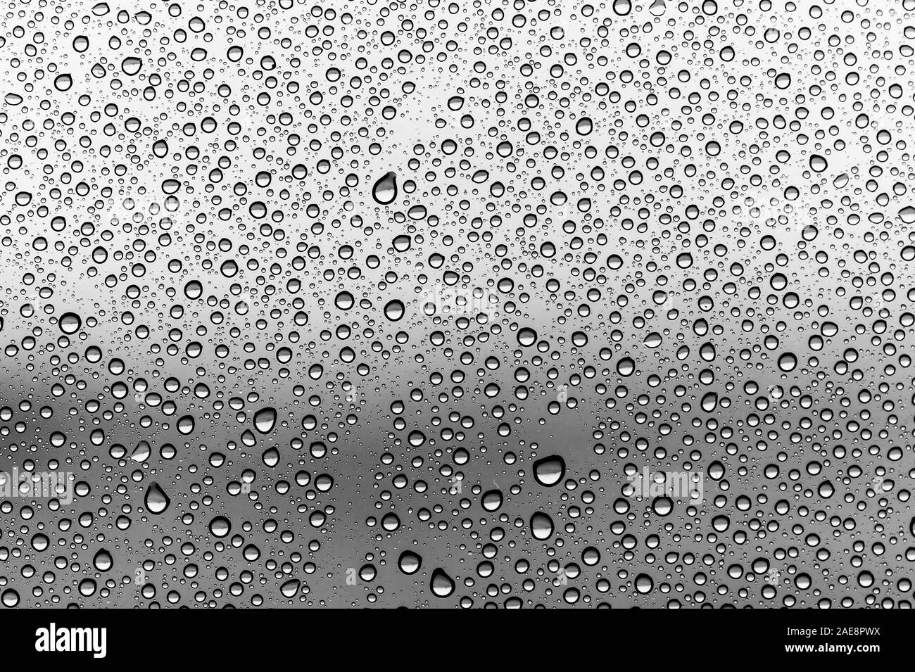 Gocce di pioggia su un vetro di finestra, chiudere fino Foto Stock