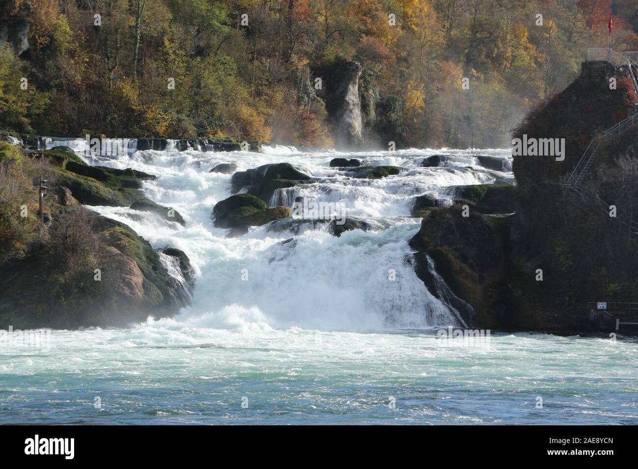 Blick auf den Rheinfall von Schaffhausen in der Schweiz Foto Stock