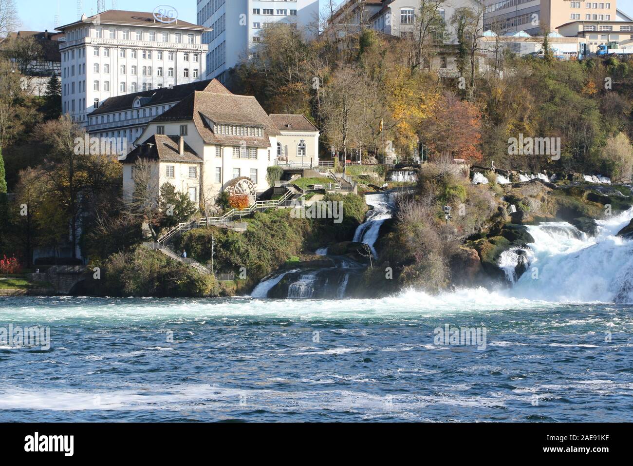 Blick auf den Rheinfall von Schaffhausen in der Schweiz Foto Stock