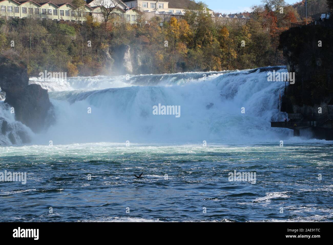 Blick auf den Rheinfall von Schaffhausen in der Schweiz Foto Stock