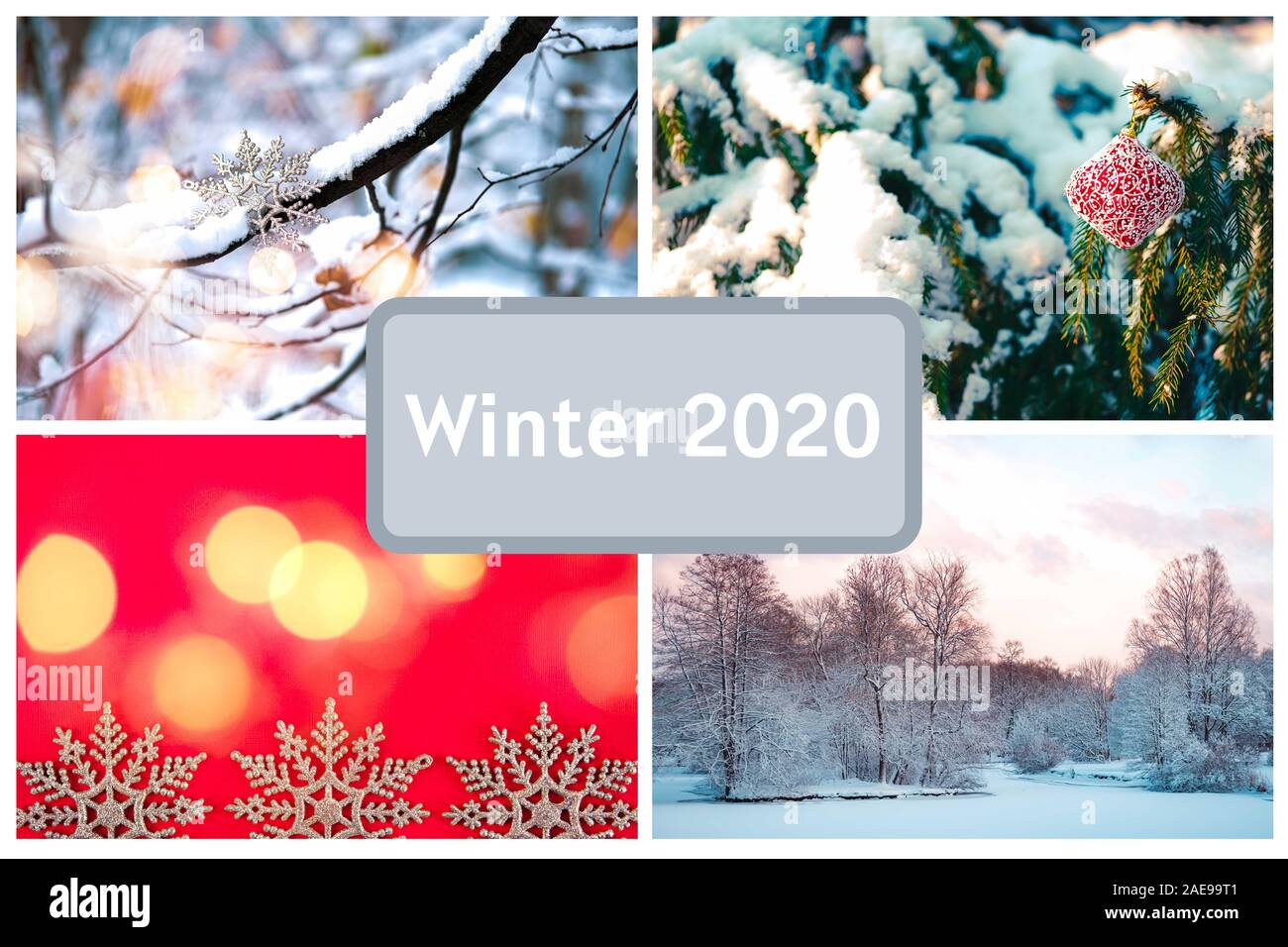 Inverno 2020 segno di testo. Red decorazione di Natale appeso al di fuori su di un gelido ramo di albero con bokeh luci fairy. Foto Stock