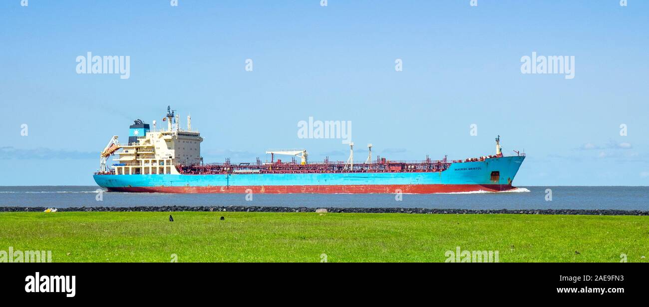 Pecore che pascolano sul campo d'erba e o petroliera chimica MAERSK Bristol che naviga lungo il fiume Elba Cuxhaven bassa Sassonia Germania. Foto Stock