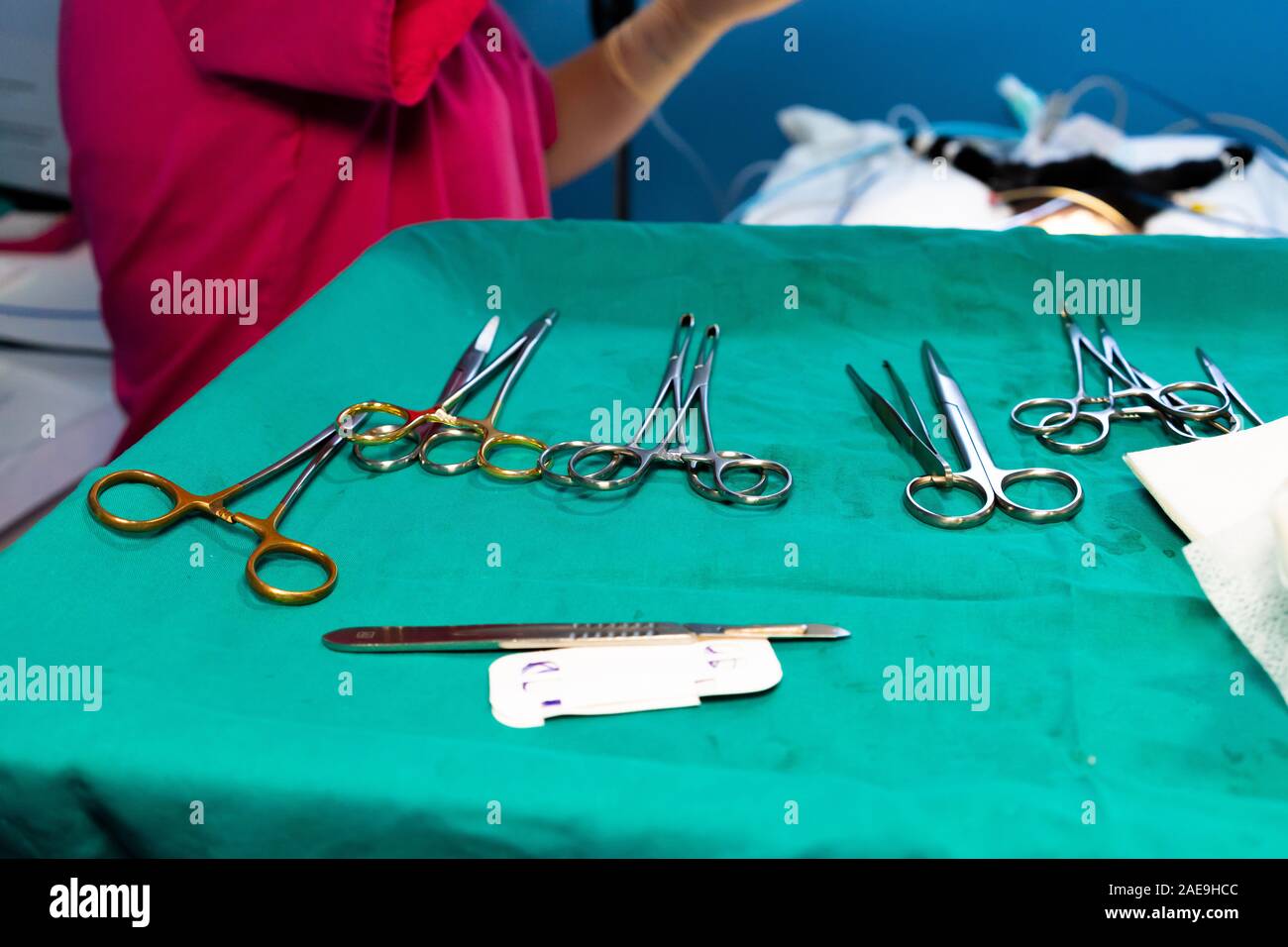 Materiale chirurgico veterinario in acciaio inossidabile di serie Foto Stock