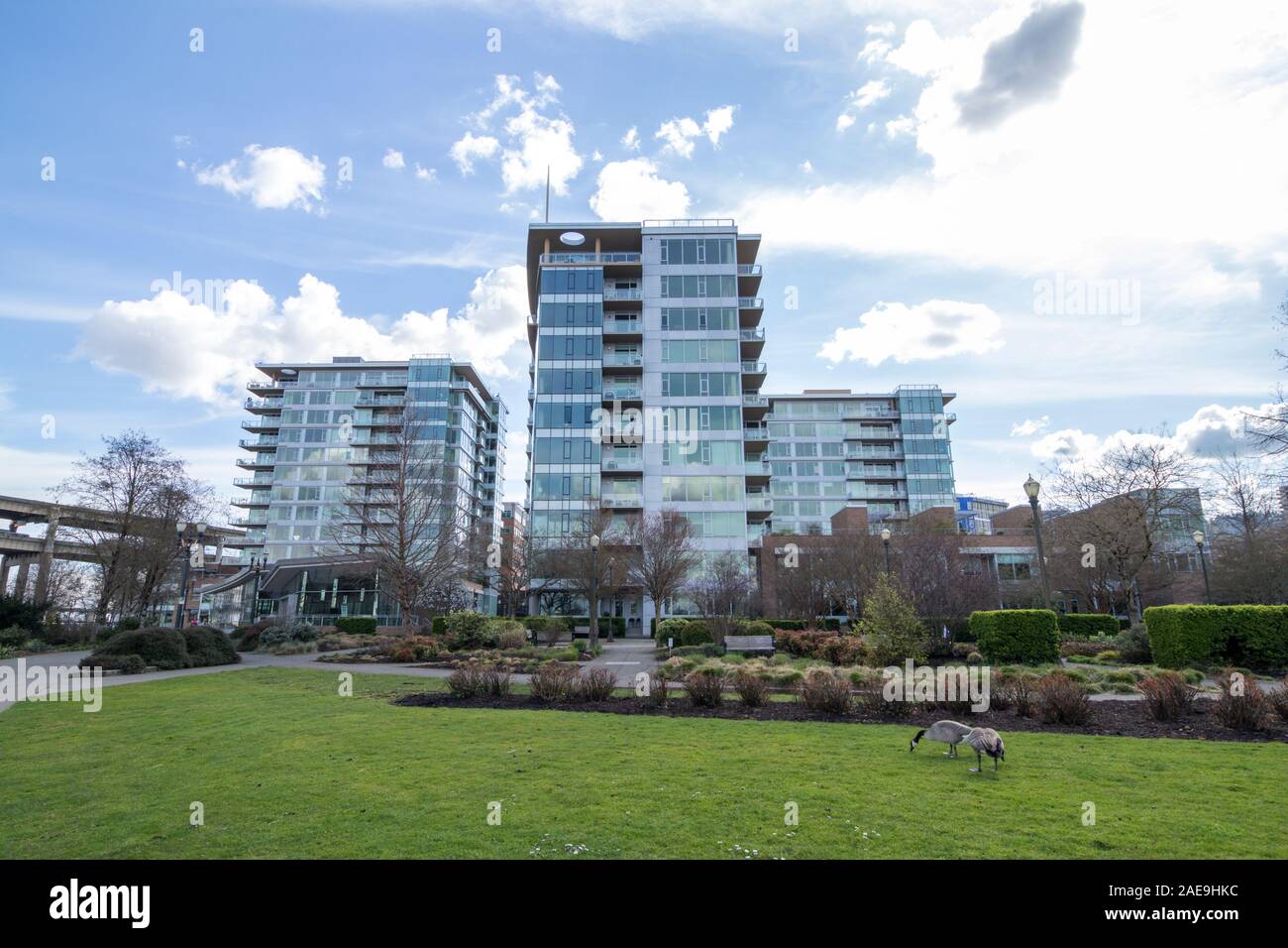 Highrise buldigns nel sud Portland Lungomare Sud del distretto di Portland, Oregon. Foto Stock