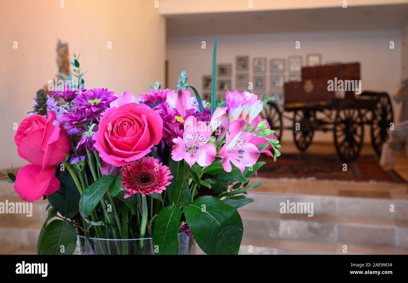 Casa Kimberly: fiori nel patio; Puerto Vallarta, Jalisco, Messico. Foto Stock