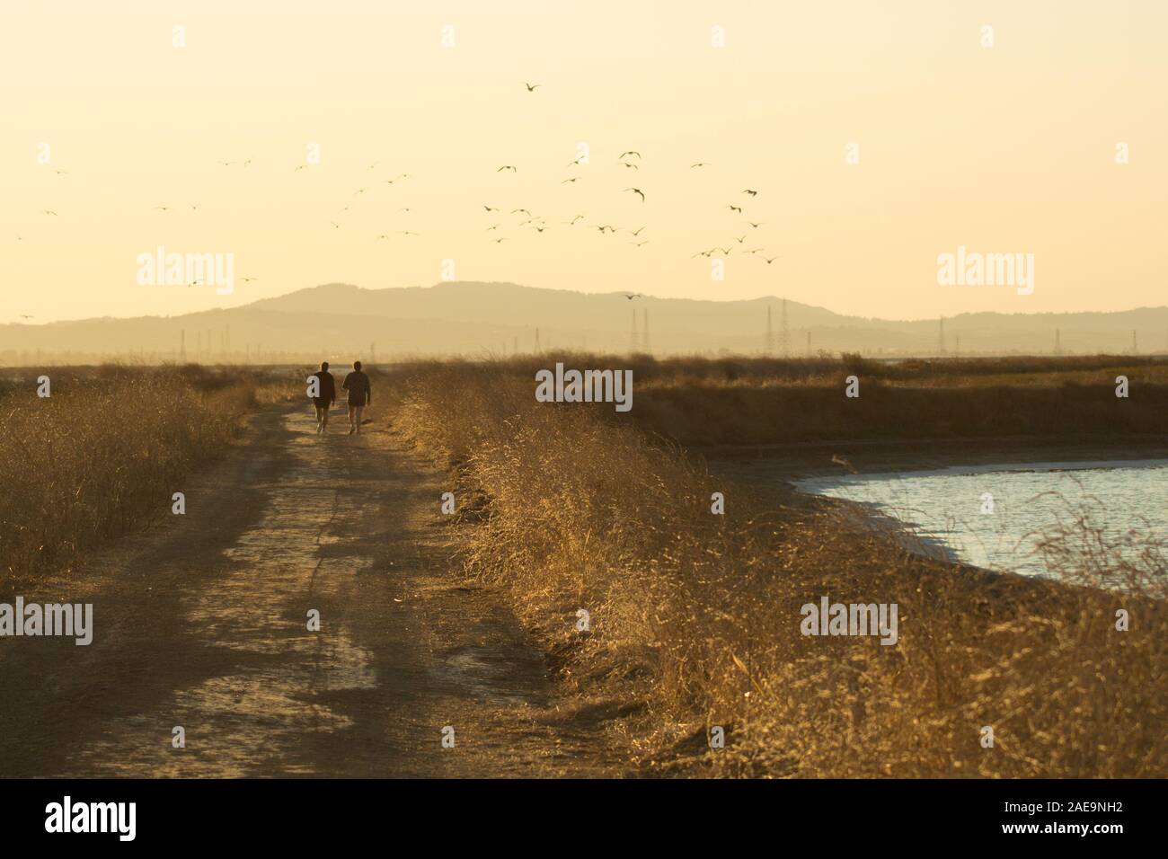 Giovane a piedi dal fotografo sul sentiero sterrato accanto a San Francisco Bay, al tramonto quando il sole tramonta dietro le montagne e gli uccelli volare sopra la testa. Foto Stock