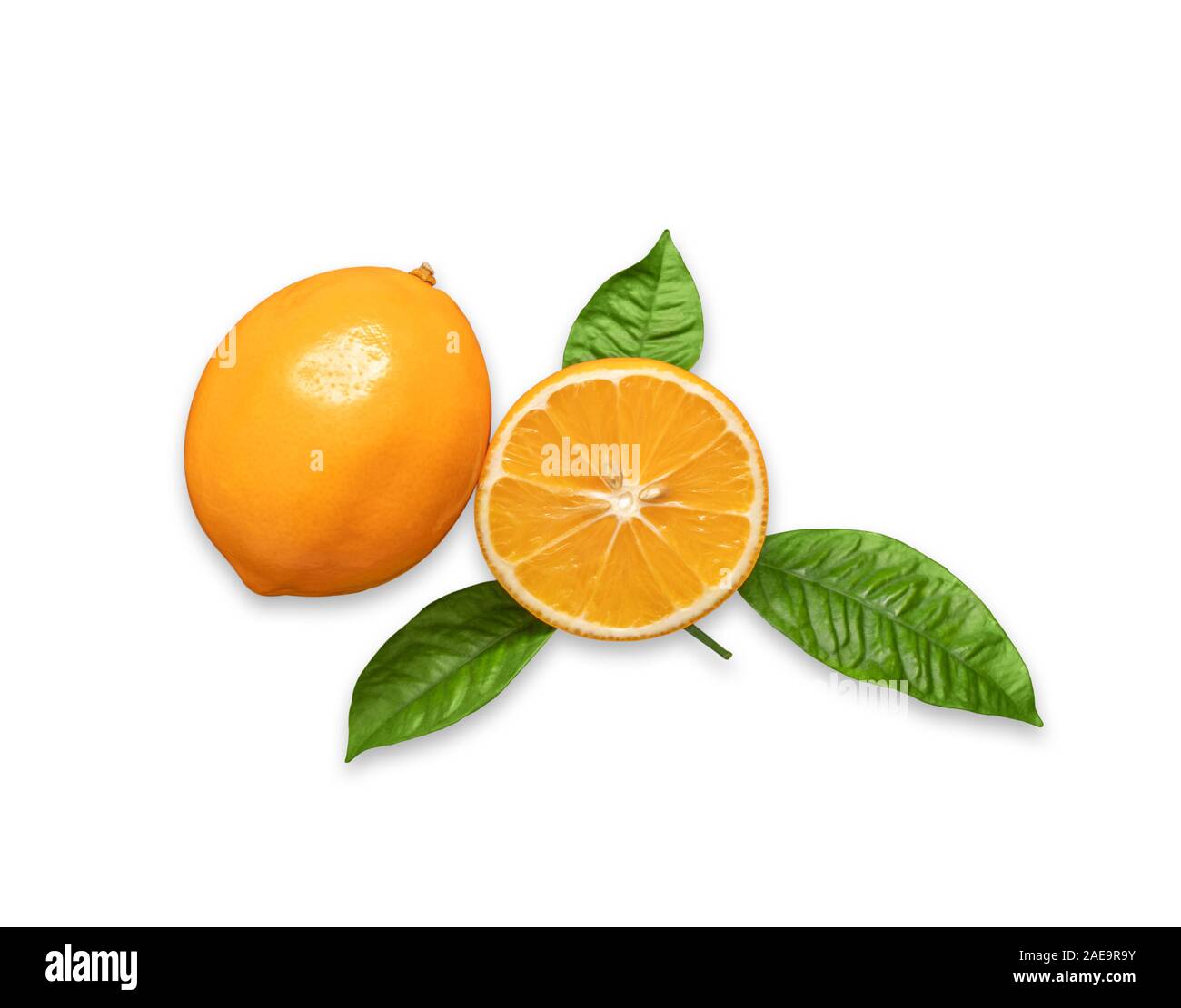 Fette di arancia e tutta la frutta di agrumi isolati su sfondo bianco. Mature succose fette di arancia limone. Citrus meyeri con foglie verdi di close-up. Foto Stock