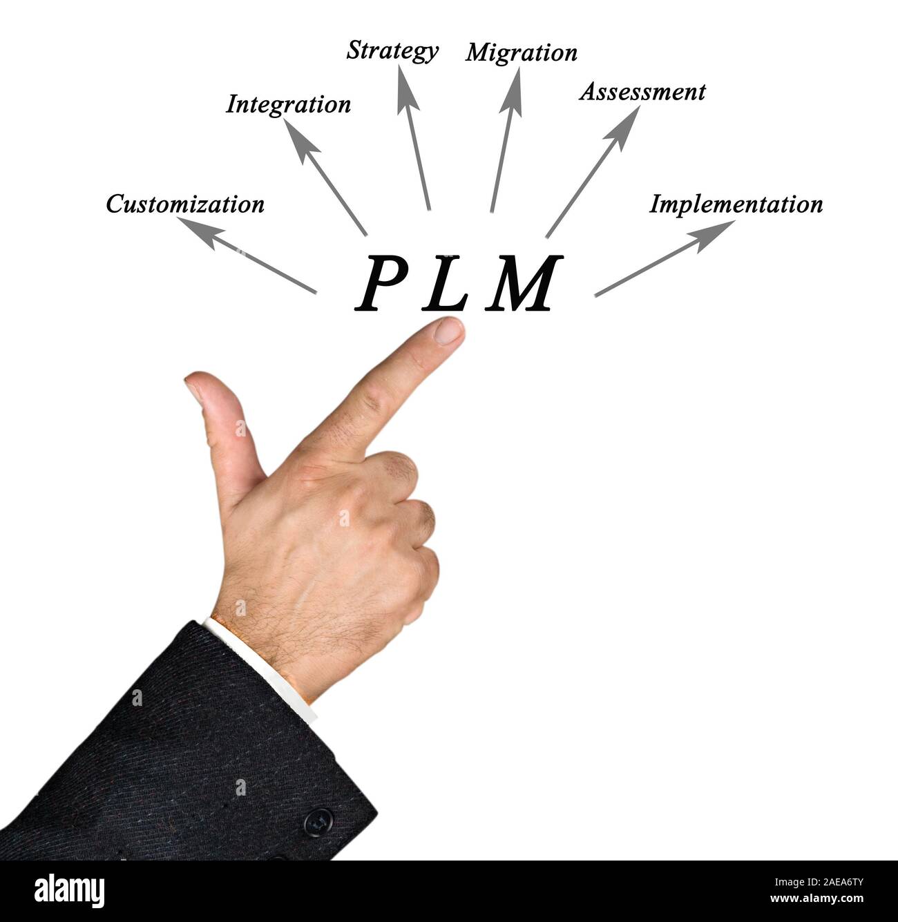 Il PLM Foto Stock