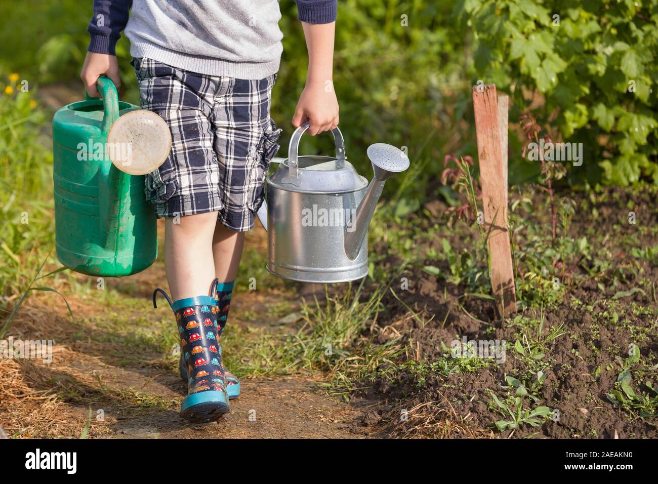 Kid boy portante due grandi pesanti lattine di irrigazione con acqua. Bambino per aiutare i genitori nel giardino. Annaffiatura di piante in orto. Estate activiti Foto Stock