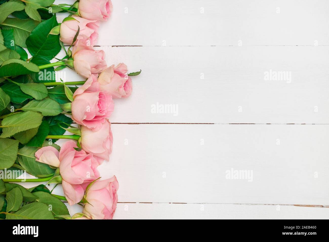 Morbido naturale le rose rosa bianca su sfondo di legno. Foto Stock