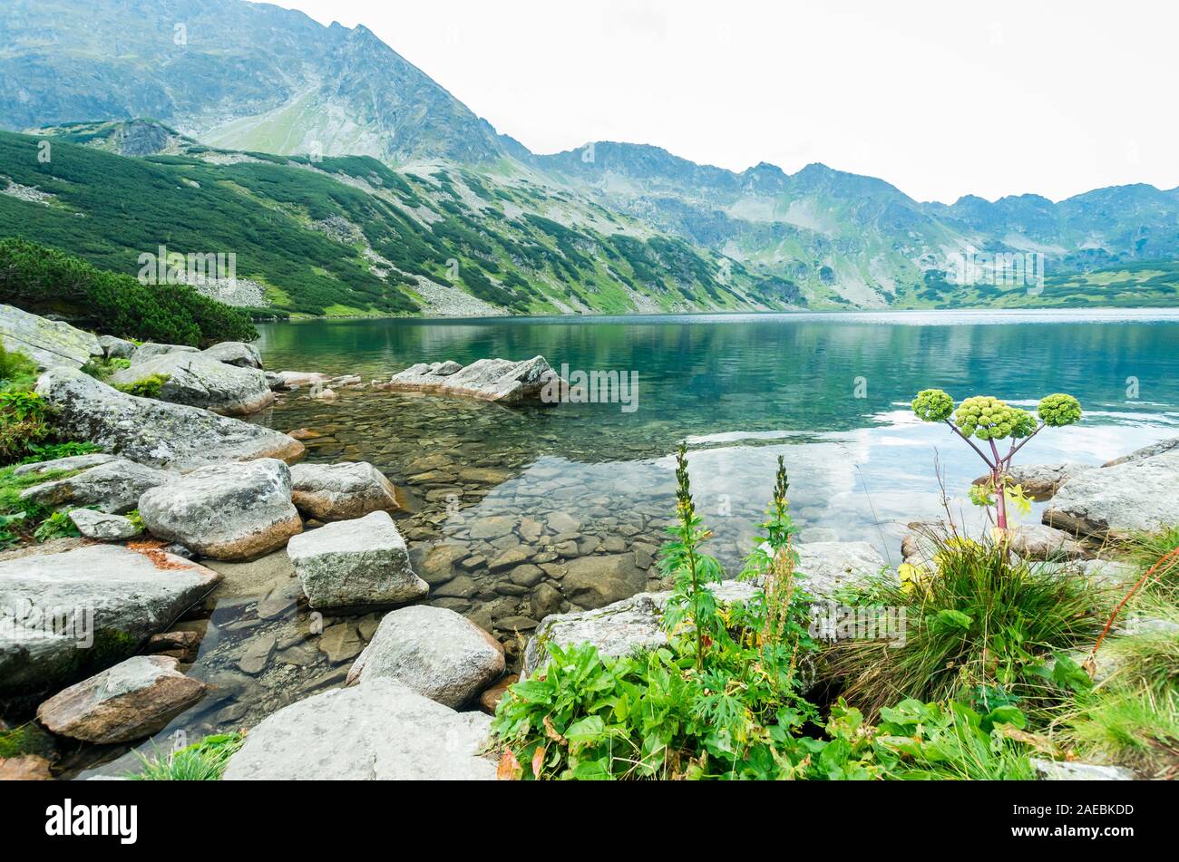 5 laghi della valle di Tatra, Polonia. Paesaggio con laghi e creste in Polonia lato del massiccio Tatry Foto Stock