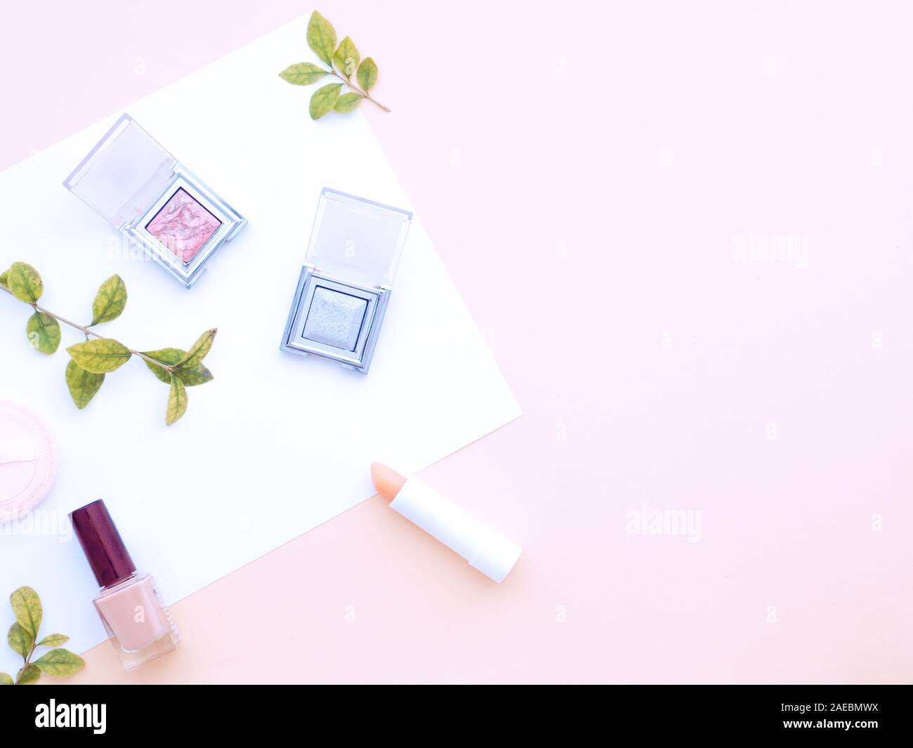 Curative e cosmetica decorativa, corpo o la cura del viso e piante verdi foglie isolate su rosa pastello colore di sfondo. Appartamento laico, vista dall'alto uno spazio di copia. Foto Stock