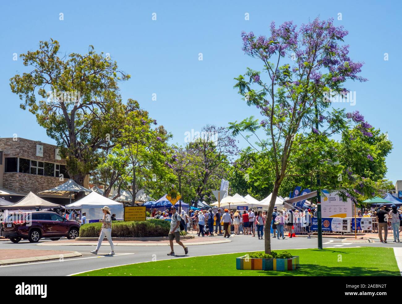 Alberi di jacaranda in piena fioritura durante il Rotary Jacaranda Festival 2019 a Ardross St Applecross Village Perth Western Australia. Foto Stock