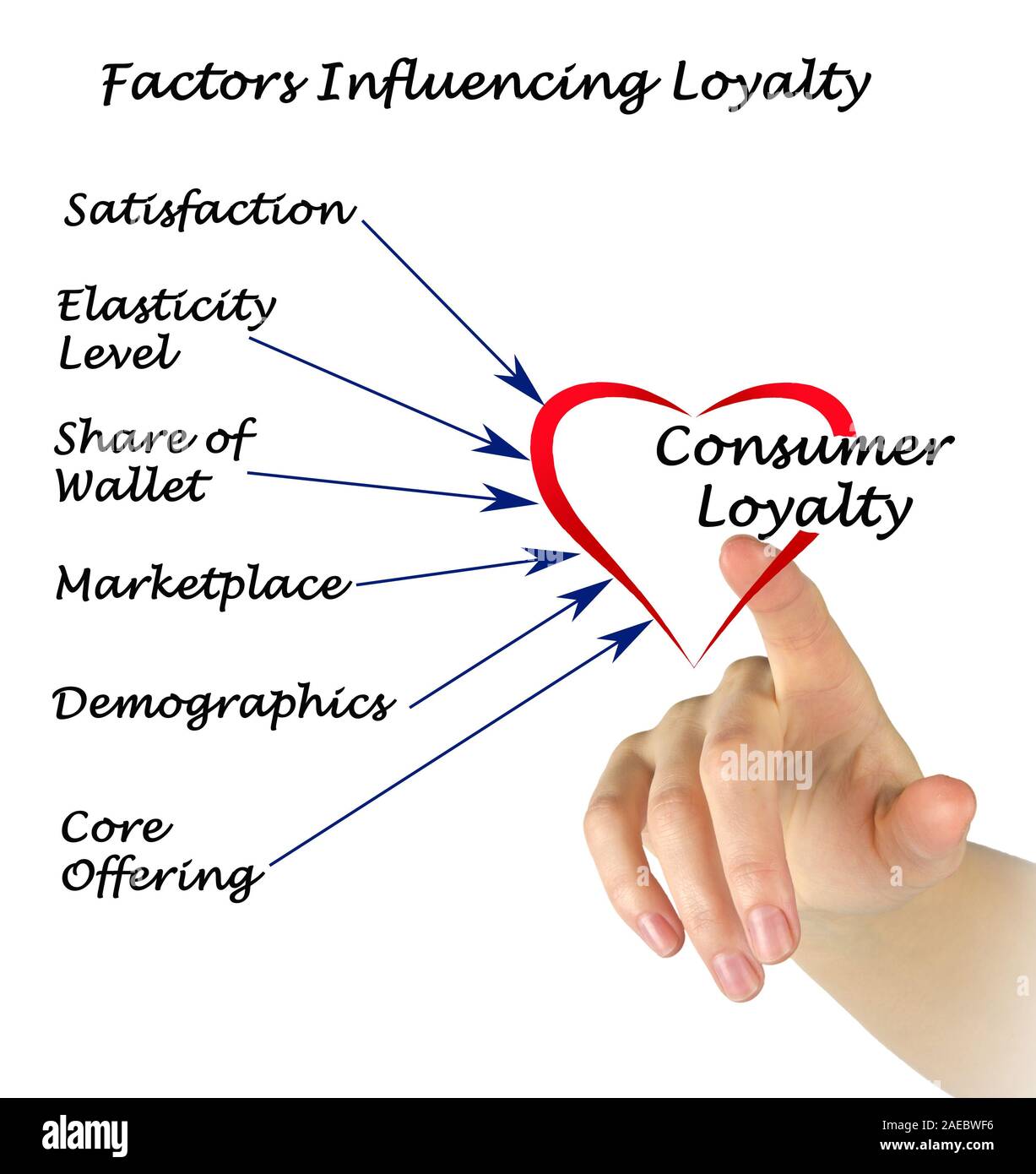 Fattori che influenzano la lealtà Foto Stock