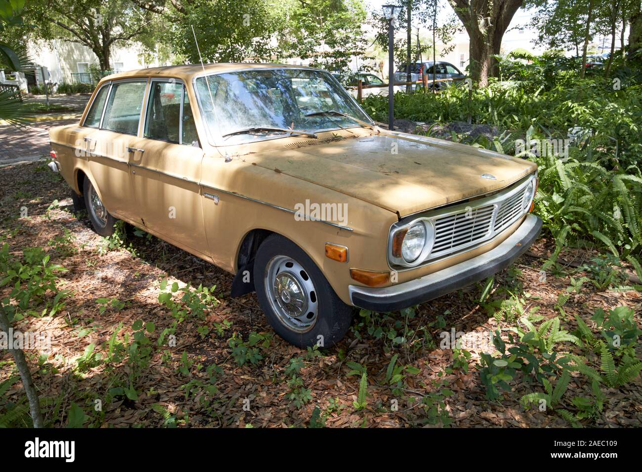 Vecchio VOLVO 144s progetto auto parcheggiate nel sottobosco nel giardino d'inverno florida usa Foto Stock