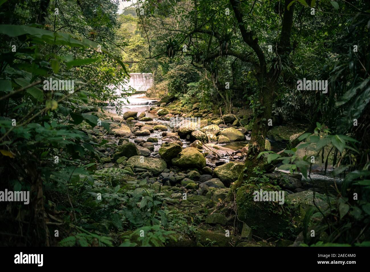Grande Cascata con fiume e rocce, all'interno della foresta pluviale, Rio de Janeiro, Brasile Foto Stock