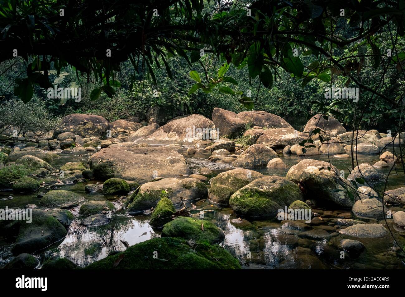 Fiume con rocce e acqua cristallina, all'interno della foresta pluviale, Rio de Janeiro, Brasile Foto Stock