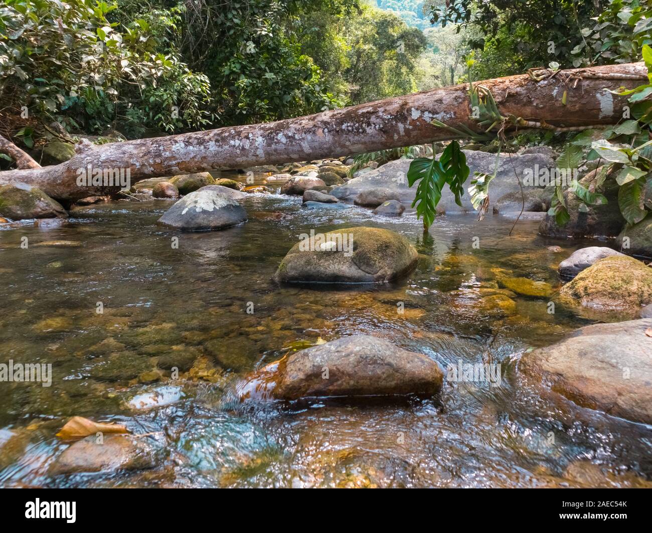 Fiume con rocce e acqua cristallina, all'interno della foresta pluviale, Rio de Janeiro, Brasile Foto Stock