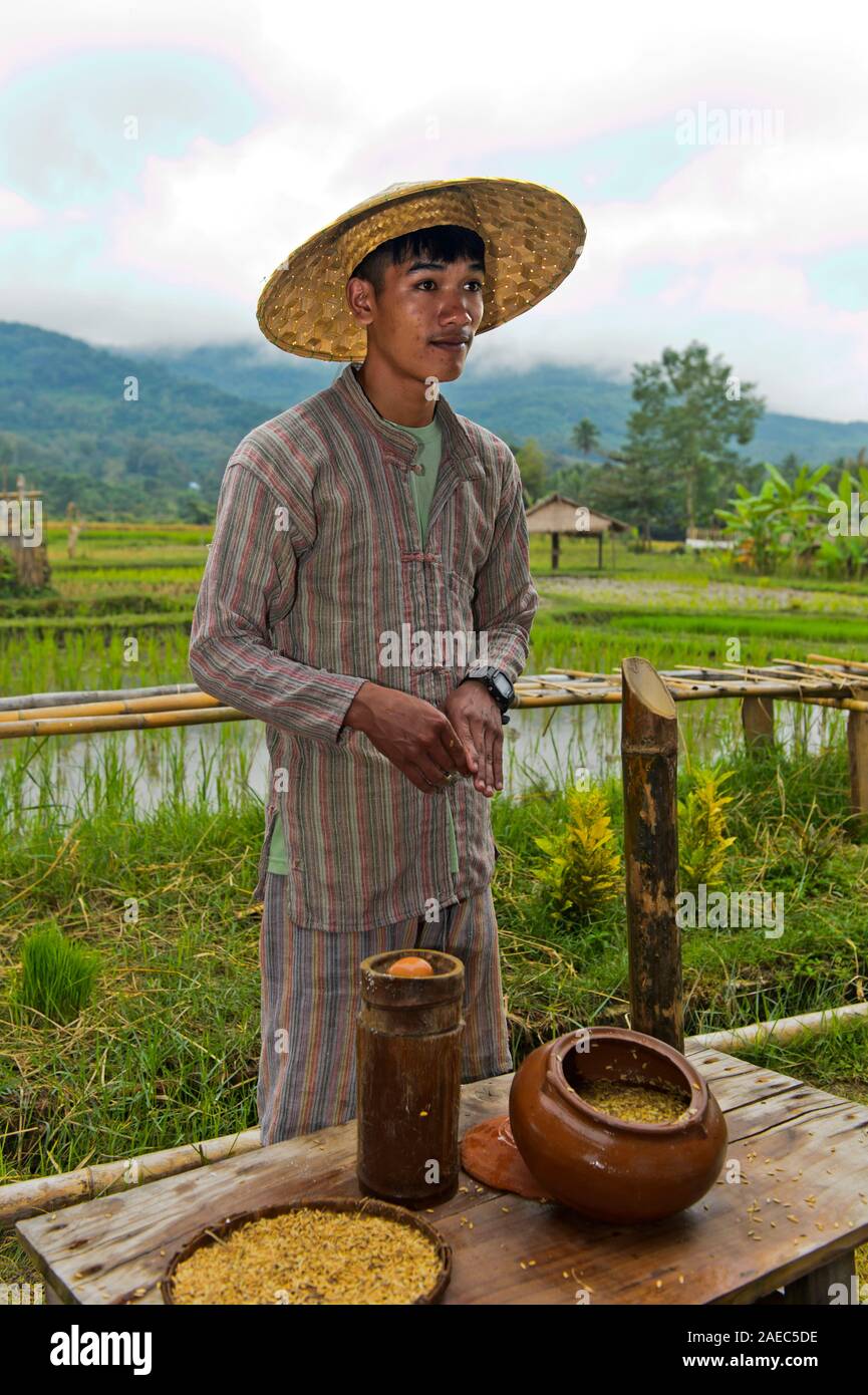 Riso agricoltore spiegare i metodi per la selezione di una sana semi di riso per il reimpianto, riso tradizionale tecnica agricola, Luang Prabang, Laos Foto Stock