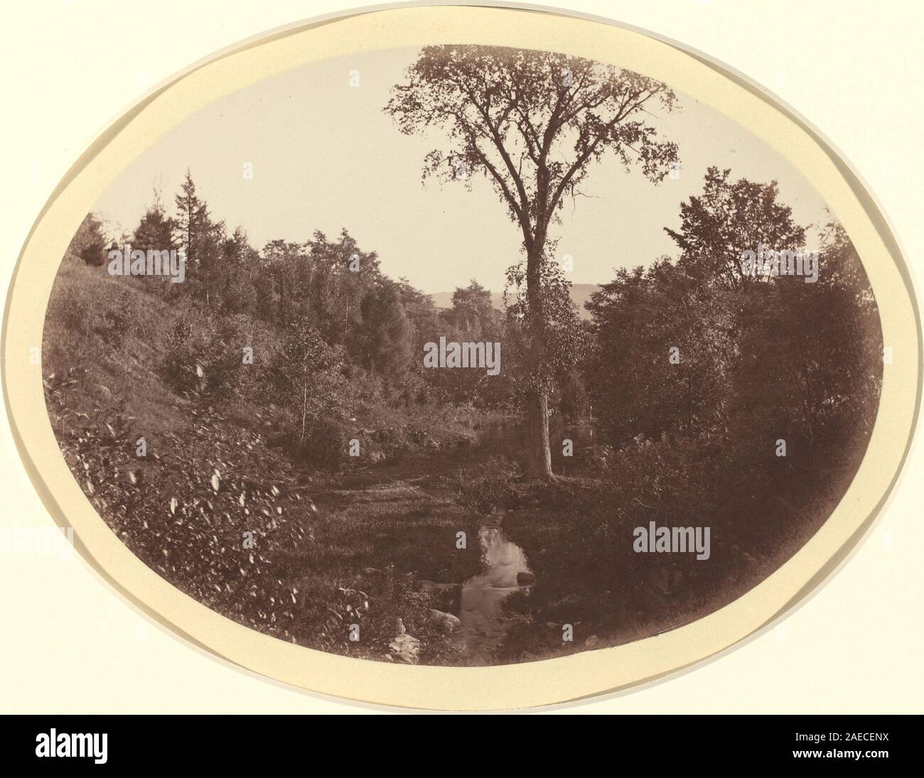 Questo dipinto del 1870 di George K. Warren raffigura un paesaggio rurale vicino al Williams College. La composizione enfatizza il terreno, gli alberi, gli edifici, il cielo, la prospettiva, e l'arte paesaggistica americana della fine del XIX secolo. Foto Stock