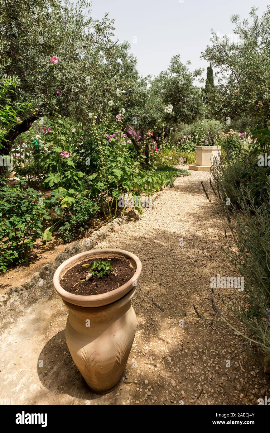 Il Giardino del Getsemani detiene un posto importante nel racconto del Vangelo, dal momento che Gesù vi passò la notte prima del suo arresto, pregando in angoscia mortale. Foto Stock