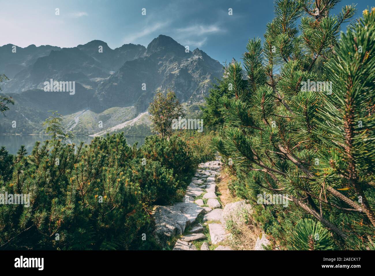 Parco nazionale dei Alti Tatra, Polonia. Sentiero vicino a Montagne Lago Morskie Oko o occhio di mare lago nella mattina d'estate. Cinque Laghi Valley. Bella vista panoramica. Europa Foto Stock