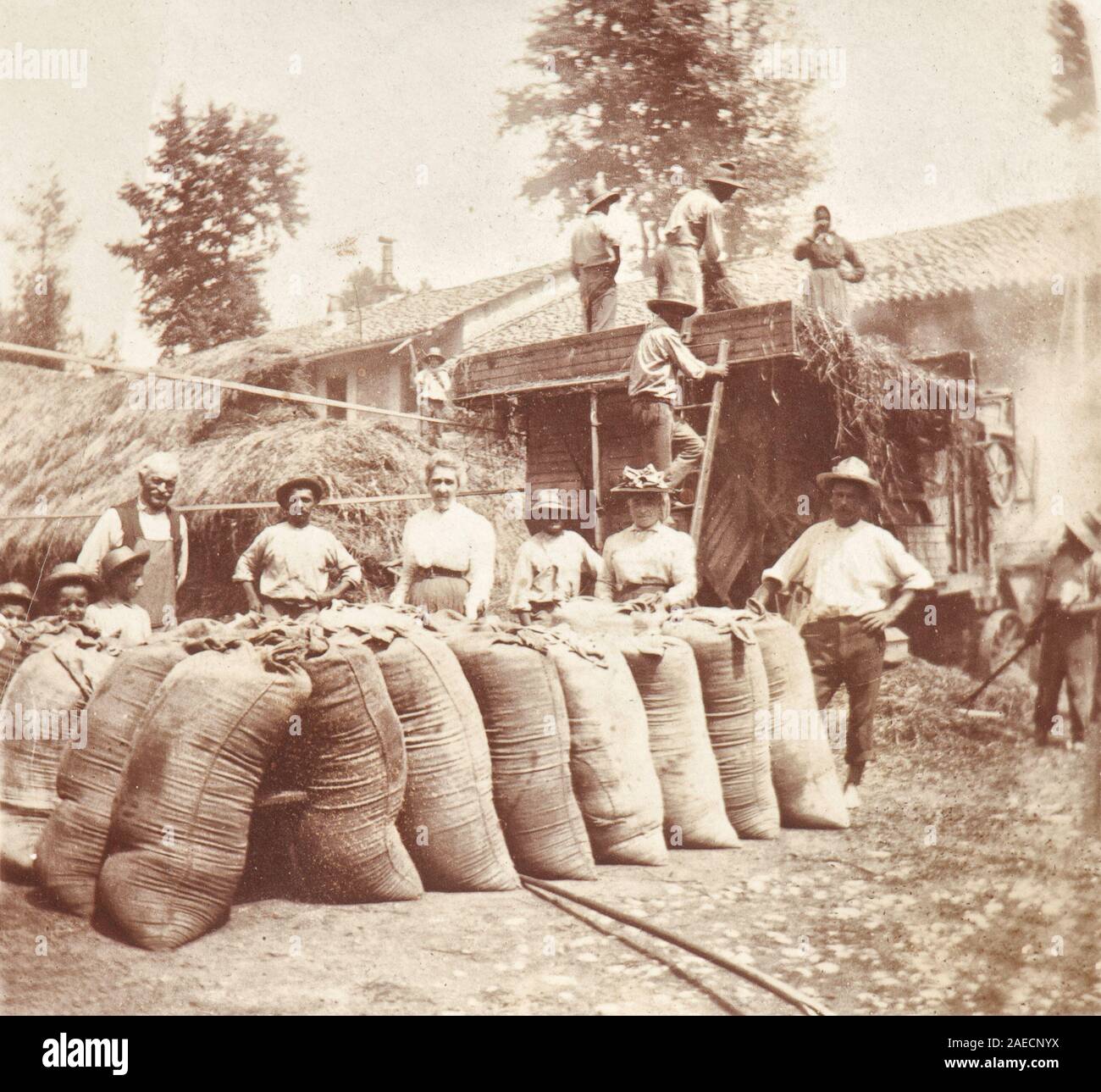 Gli agricoltori nelle zone rurali del Piemonte, Italia, (1925) Foto Stock