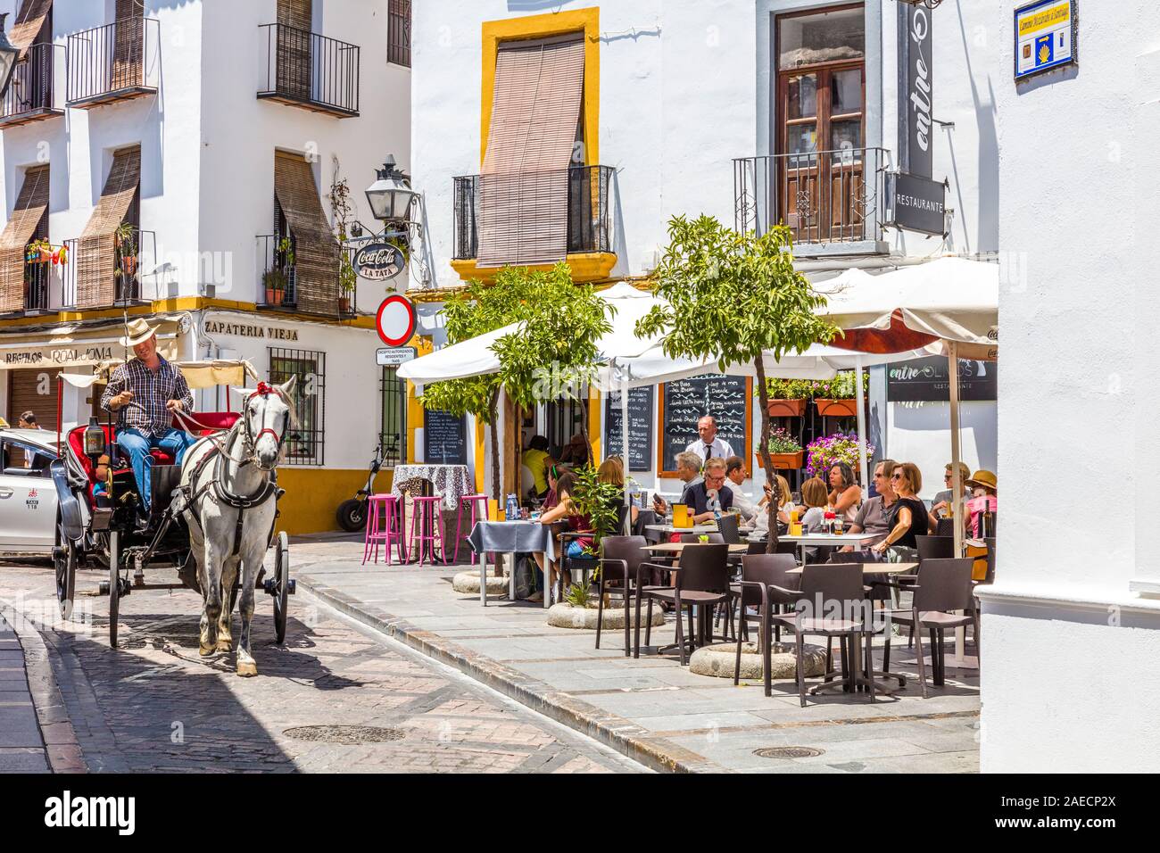 Cavallo e Carrozza giro turistico di Cordoba nella regione Andalusia di Spagna Foto Stock