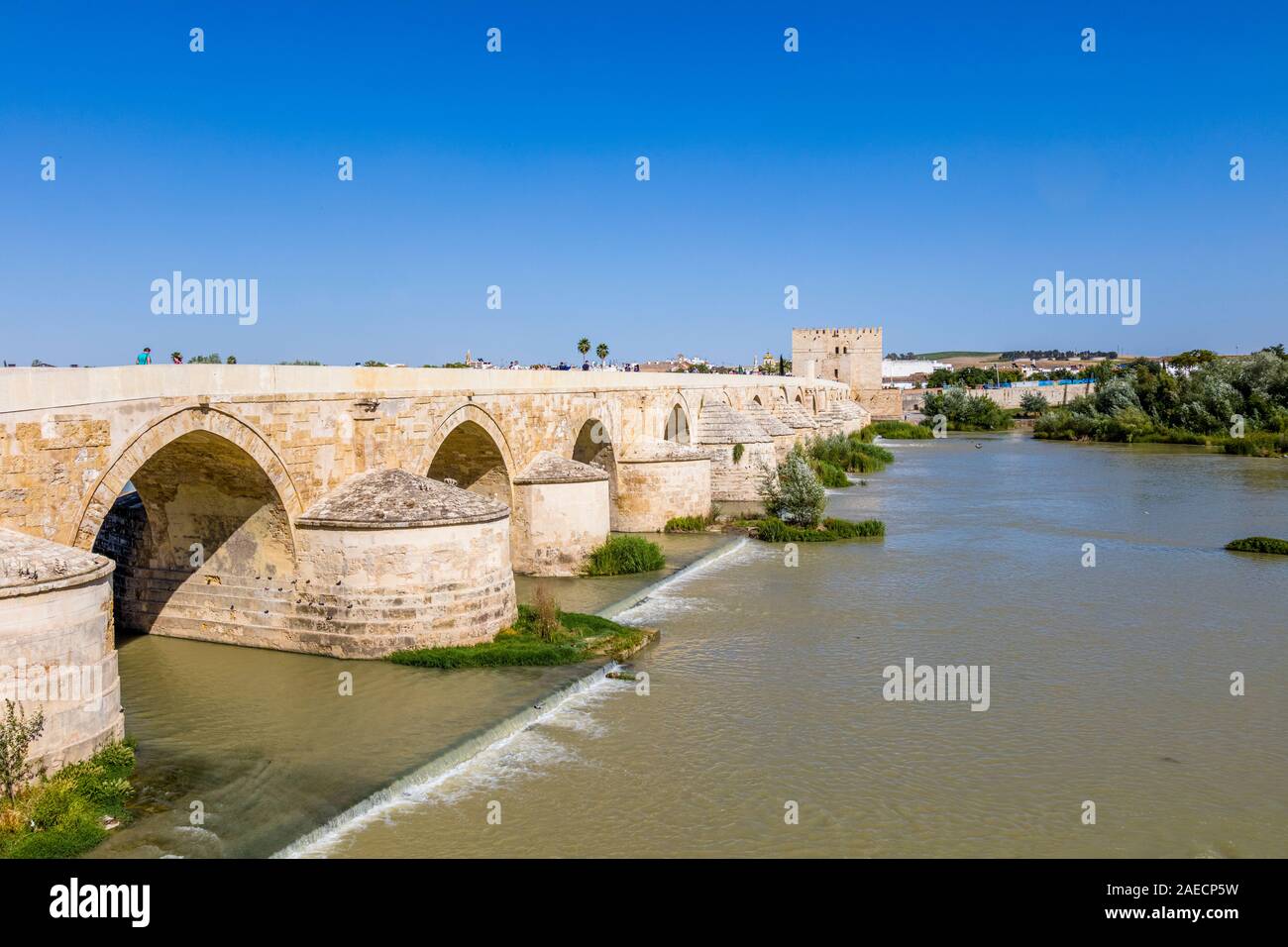 Il ponte romano di fronte al fiume Guadalquivir, a Cordoba in Andalusia, regione della Spagna Foto Stock