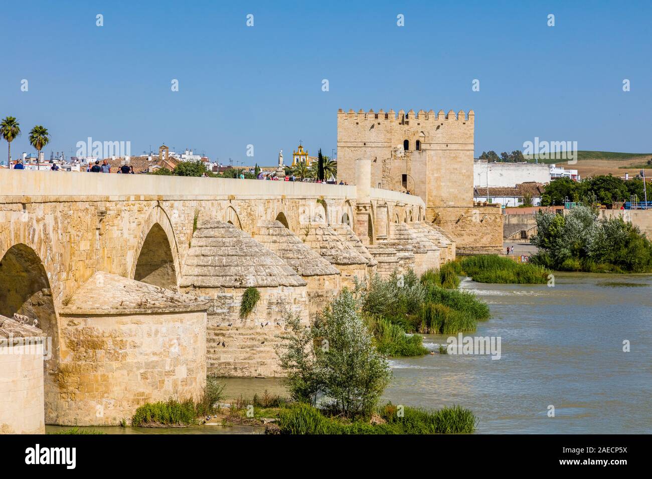 Il ponte romano di fronte al fiume Guadalquivir, a Cordoba in Andalusia, regione della Spagna Foto Stock