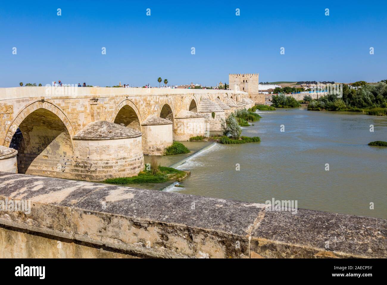 Il ponte romano di fronte al fiume Guadalquivir, a Cordoba in Andalusia, regione della Spagna Foto Stock