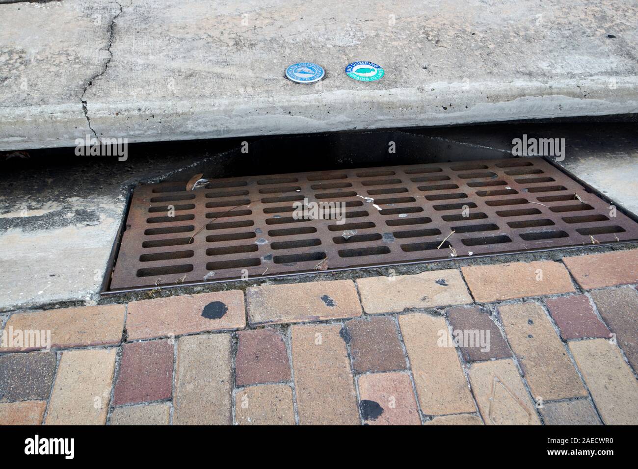 Griglia in metallo e il marciapiede di strada strada overflow di acqua di scarico storm winter garden florida usa Foto Stock