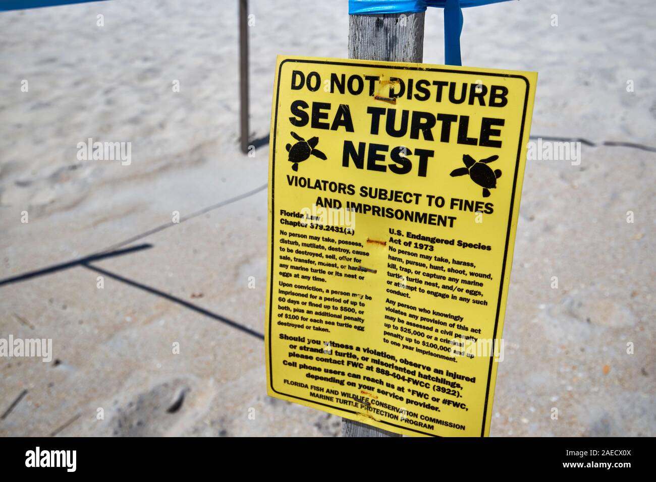 Sea Turtle Nest non disturbare segno sulla spiaggia a marineland florida usa Foto Stock