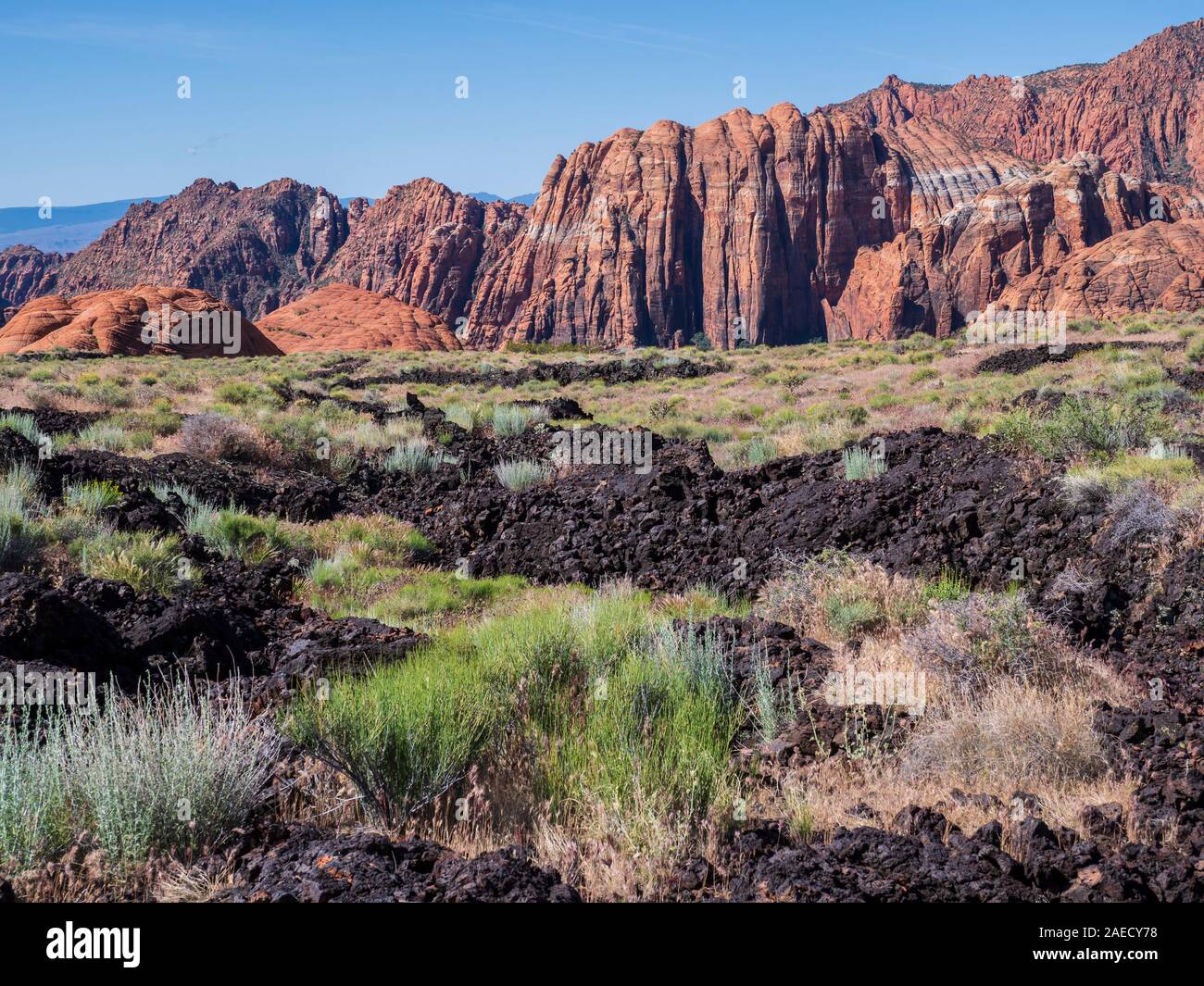 Flusso di basalto, Flusso di Lava Trail, Snow Canyon State Park, Saint George, Utah. Foto Stock