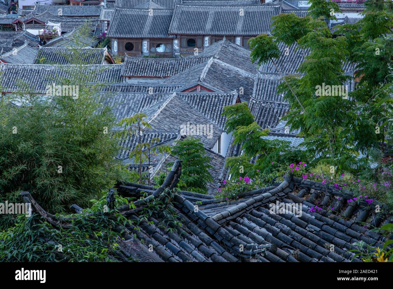 I tetti di Lijiang Old Town Foto Stock