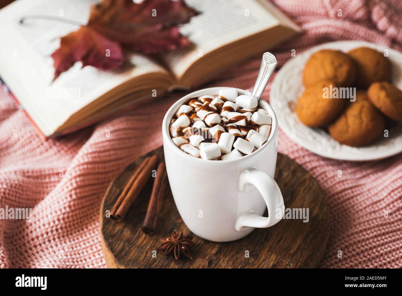 Cioccolata calda con marshmallows e lo sciroppo al cioccolato in tazza bianca Foto Stock