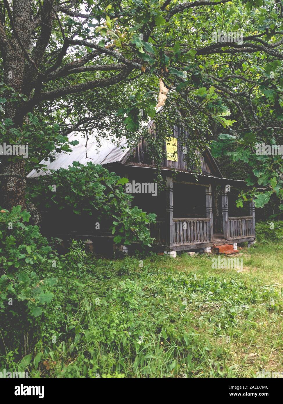 Un cacciatore di casa in mezzo a conservare nel bosco selvatico Foto Stock