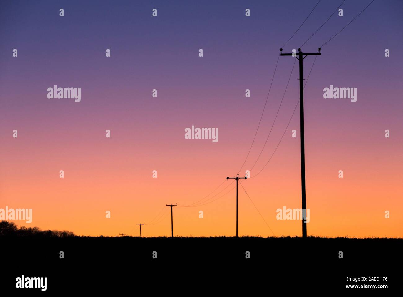Le linee elettriche della rete elettrica nazionale attraversano la campagna del Suffolk dopo il tramonto del sole invernale. Foto Stock