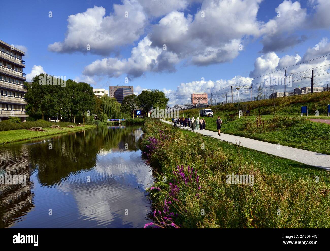 Amsterdam, Olanda, Agosto 2019. In periferia i canali sono rivestiti solo  con alberi e vegetazione. Il fogliame è riflessa nell'acqua. Più dista Foto  stock - Alamy