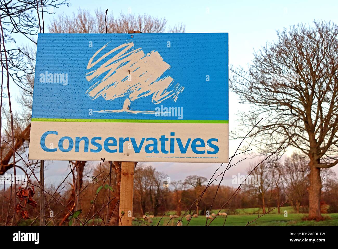 I conservatori segno, elezioni generali britanniche, Grappenhall, Warrington, Cheshire, Inghilterra, Regno Unito, WA4 Foto Stock