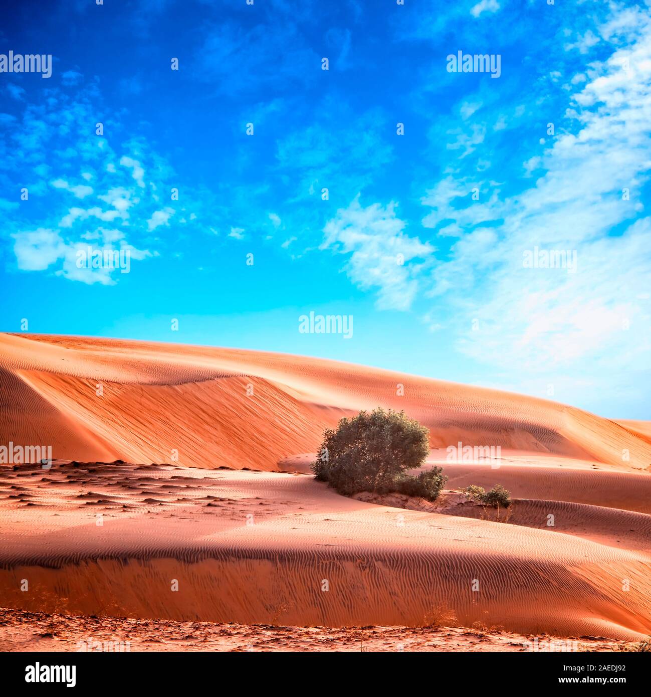 Deserto marocchino paesaggio con cielo blu. Sullo sfondo delle dune. Foto Stock
