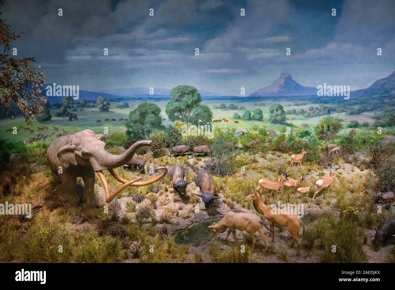 In Arizona, nel Pleistocene, 13.000 anni fa, diorama, Arizona State Museum, Tucson, Arizona Foto Stock